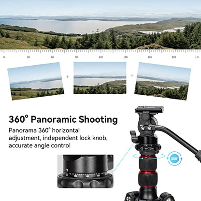 SmallRig Tripod Fluid Head Pan Tilt Head with Quick Release Plate for Arca Swiss for Compact Video Cameras and DSLR Cameras -3259B