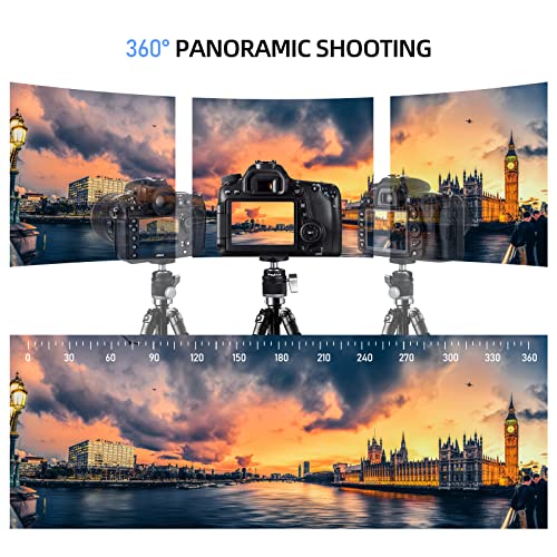 Mini Ball Head with 1/4" Screw 3/8" Thread Mount Adapter 360 Degree Rotatable Aluminum Tripod Head for DSLR, Monopod, Phone, Gopro, Camcorder, Max Load 9.9lbs/4.5kg - size: Lightweight 9.9/lb