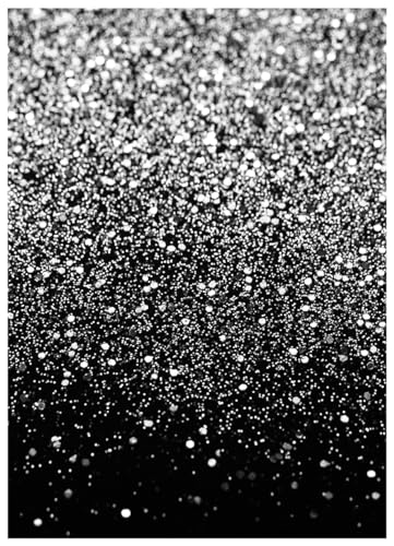 Black and Silver Backdrop Silver Glitter Backdrop for Photography Wedding Birthday Baby Shower Party Photo Studio 5x7FT FW18 - color: Silver, size: 5x7FT