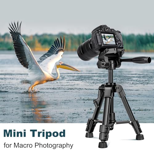 JOILCAN Mini Tripod for Camera, 25" Tabletop Camera Tripod, Portable Travel Tripod with Phone/Tablet Holder, Lightweight Aluminum Tripods for DSLR Phone Spotting Scope - size: 25 Inch