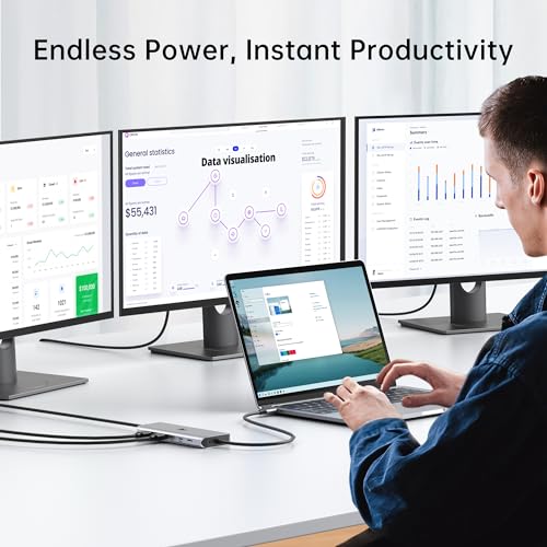LIONWEI Laptop Docking Station 13 in 1 - Dual HDMI+DisplayPort+10Gbps, 6 USB C/A, 100W PD, Ethernet, SD/TF, Audio, USB C Hub for MacBook/Dell/HP/Surface - color: 13 IN 1(2 HDMI+DisplayPort)