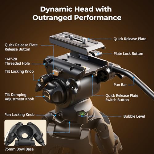 SmallRig AD-01S Video Tripod, 74" Heavy Duty Tripod with Pan and Tilt Fluid Head, Dual-Mode Quick Release Plate, Load up to 13.2lb / 6kg for DSLR, Camcorder, Cameras - style: AD-01S