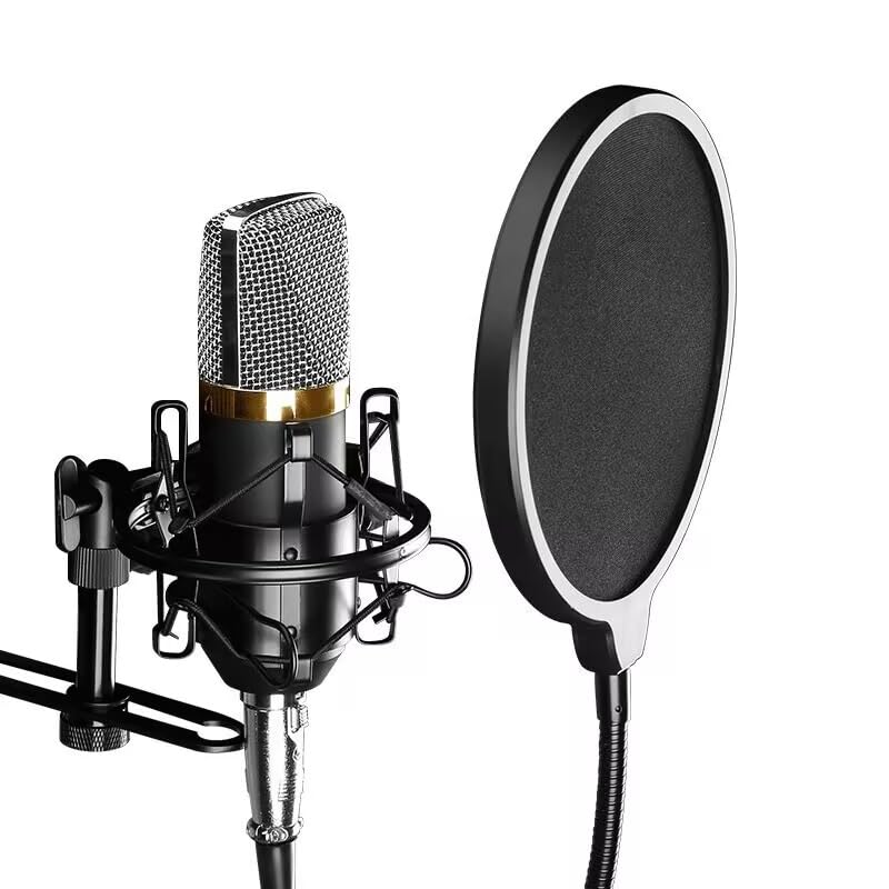 HORNO Professional Microphone Filter Screen-Mic Pop Blocker Mask Shield Screen with Flexible Gooseneck Mount