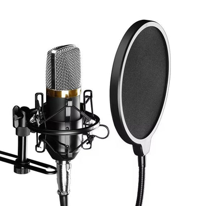 HORNO Professional Microphone Filter Screen-Mic Pop Blocker Mask Shield Screen with Flexible Gooseneck Mount