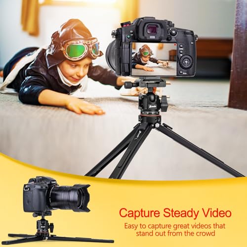 Zeadio All-in-One Metal Tripod Kit with Arca Ball Head, Phone Stand and Action Camera Adapter for Recording/YouTube/Filming/Vlogs, Compact Travel Tripod for Camera, Gimbal & Action Cam etc - style: With Arca Ball Head
