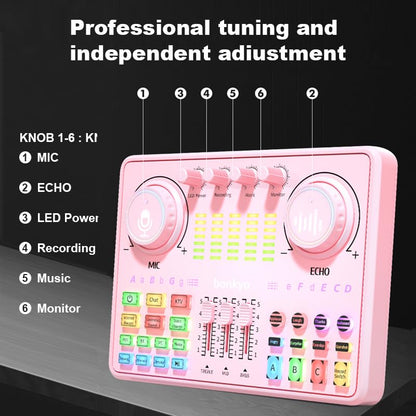 Podcast Equipment Bundle: Audio Interface & DJ20 Mixer with XLR Mic, Voice Changer, 2400mAh Battery for Podcasting, TikTok Live Streaming, and Gaming (Pink)