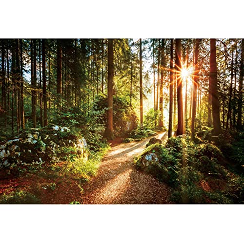 Yeele 10x8ft Jungle Forest Backdrop Natural Spring Scenery Sunshine Green Mountain Trees Background Outdoor Picnic Hiking Camping Picture Photoshoot Wedding Photography Background Photobooth Props