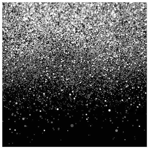 Black and Silver Backdrop Silver Glitter Backdrop for Photography Wedding Birthday Baby Shower Party Photo Studio 10x10FT FW18 - color: Silver, size: 10x10FT