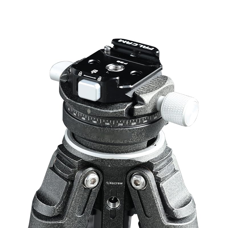 FALCAM F38 Quick Release Base V2, Quick Release System, Base with 1/4" and 3/8" Screw Thread for Tripod, Monopod, Stabilizer, Slider - 3364 - size: F38 QR Clamp V2 only