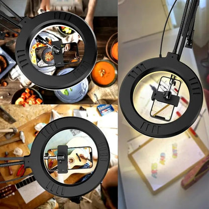 Overhead Phone Mount with Ring Light, 6.5in LED Selfie Ring Light for Desk，,Adjustable Phone Mount，for Video Recording,Live Stream,Cooking Video